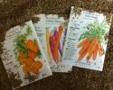 Love fresh carrots? Now is the time to get your seeds started for this tasty root crop. They can be grown in the ground or containers, we
