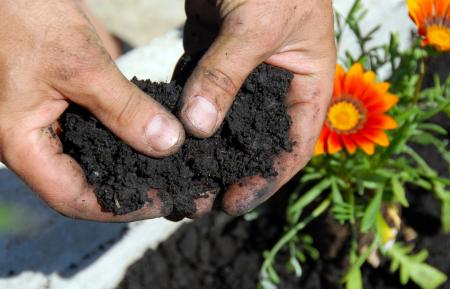 Soil Amendments 