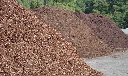 Why mulch helps your plants thrive. 