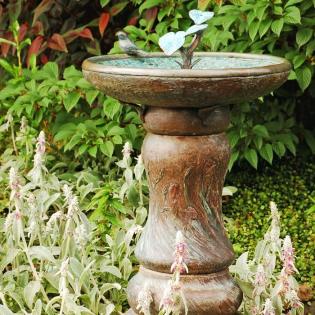 Bring in wildlife to your garden. 