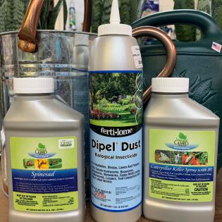 organic caterpillar control solutions 