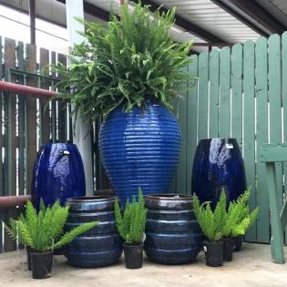 Why potting is a wonderful addition to your garden 