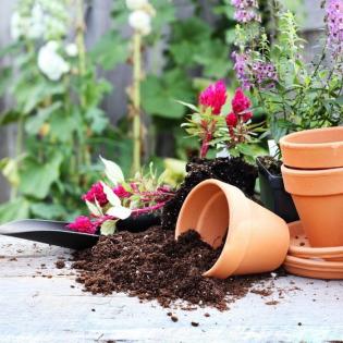 Gardening Supplies 